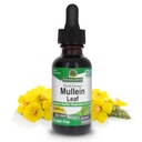 Nature's Answer Mullein Leaf | ハーバルサプリメント | 呼吸機能と粘膜をサポート | 非GMO&コーシャ | グルテンフリー&アルコールフリー1oz (2パック)