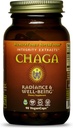 HealthForce SuperFoods Integrity Extracts Chaga – カプセル - 90 ビーガンカプセル