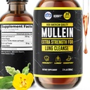 HERBIFY Mullein Extract 2 oz 呼吸の健康のためのチンキ, Mullein 葉と花のブレンド (Verbascum Densiflorum)
