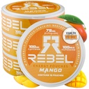 向知性エネルギーカフェインポーチ•100mgカフェイン•アルファGPC•ハペルジンA&エッセンシャルビタミン•砂糖フリー•ココナッツ繊維技術•マンゴー味•缶あたり15袋(パッケージ4)