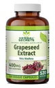 草の秘密の Grapeseed のエキス 400 の mg 120 Veggie のカプセルの補足-非 GMO -グルテンフリー