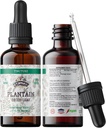 Plantain Tincture, Organic Plantain Extract (Plantago Major) Dried Leaf Health Supplement, Non-GMO in Cold-Pressed Organic Vegetable Glycerin 2 oz, 670 mg