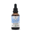 Astragalus USDAの有機性アルコールフリーのエキス | 栄養補助食品、高周波焼入れ剤 | 天然認定有機アストラガルス(アストラガルス・メンブランアセス) 乾燥根(2oz)