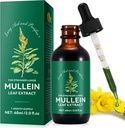 ムレインは肺、ムレインの葉のチンキの低下のために低下します | 2 の fl oz | ムリンの葉のエキスは肺のデトックスおよび呼吸器肺の健康、呼吸器、自然な草の補足のための支えます