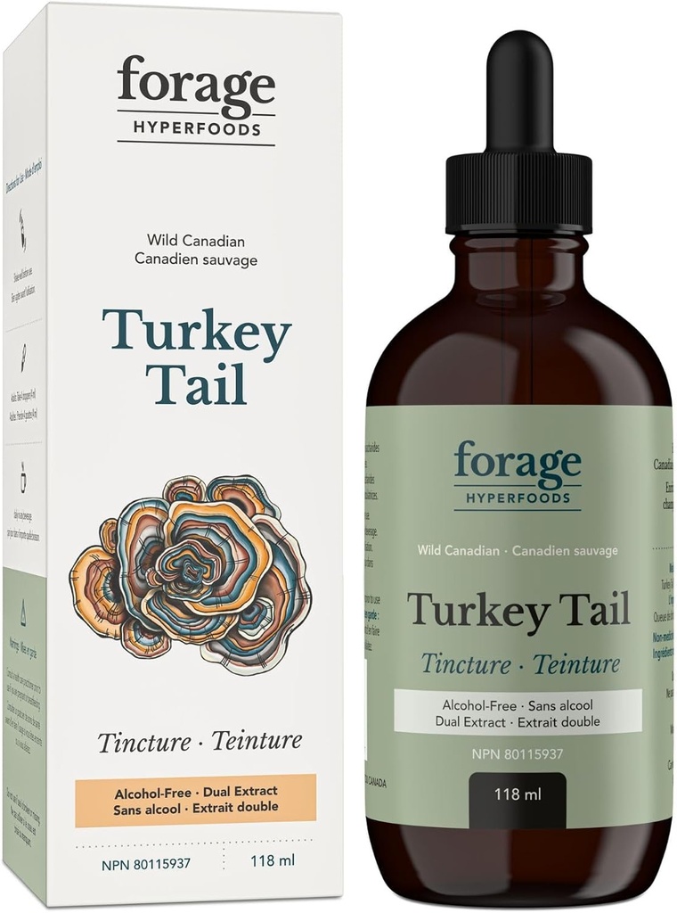 ForageのHyperfoods-アルコールフリーのカナダの野生のトルコの尾のきのこのスーパーフードの液体の補足のエキスのチンキ、ビーガン、非GMO、免疫システムおよび腸の健康サポート、118ML