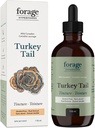 ForageのHyperfoods-アルコールフリーのカナダの野生のトルコの尾のきのこのスーパーフードの液体の補足のエキスのチンキ、ビーガン、非GMO、免疫システムおよび腸の健康サポート、118ML