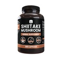 PURE ORIGINAL INGREDIENTS シイタケマッシュルーム(365カプセル)、マグネシウムまたはライスフィラー無し、常に純粋な実験室は確認しました