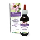 ナチュラルマ Echinacea (Echinacea angustifolia と purpurea) ルートとハーブ アルコールフリー チンキ - 4 fl oz 液体エキス に ドロップ - ハーブ サプリメント - 完全菜食主義者の