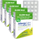 Boiron AllergyCalm 錠 240 カウント, アレルギーからの救済とヘイ ・ フィーバー ・ シンプトムス, 鼻鼻, かゆ目, 喉, アレルギー カルム タブ (旧 RhinAllergy) (パック 4 60ct ボックス)