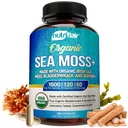 NutriFlair Organic Sea Moss 1600mg、120カプセルプラスBradderwrack&Burdock - プレバイオティックスーパーフード - 免疫システム&消化の健康 - 甲状腺、健康な肌、ケトデトックス、ガット