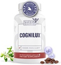 Cognilux - 記憶と焦点のための脳のサプリメント - Niacin、ビタミンB6、GABAなどの向知性焦点サプリメント - 脳、脳の健康、60カプセルのための記憶サプリメント
