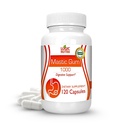 プレミアムマスティックガムカプセル - 天然消化管サポートサプリメント、サービングあたり1000mg - 120カプセル(1ボトル)