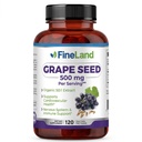 FineLand Grape Seed Extract 50:1 – 25,000mg カプセルあたり等価 – 120 ビーガンカプセル – 抗酸化剤で豊富 | 心臓, 免疫&循環サポート – 非GMO | アメリカ製
