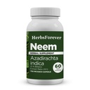 Herbsforever NeemカプセルのAzadirachtaのインディカの皮の補足60のベジーのカプセル