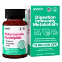 Akkermansia Muciniphila + プロバイオティクス, ポストバイオティクス & インリン - 消化のための腸の健康サプリメント, 免疫サポート - 10 億CFU, ビーガン&グルテンフリー