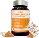 Stomach Plus-for Stomach、Gastritis、Stomachのライニングの修理、酸の還流装置、心焼け、消化器、Galangal、ドン・キー、シナモン及びMagnolia-45のカプセルを使って