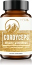 HPD Rxプレミアム有機コルディプス茸抽出物エネルギー、持久力および免疫のパフォーマンスサプリメント | 2250 mg、120カプセル、1パック
