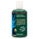 Natures Plus Ultra Rx-Joint Liquid、ハニーレモン - 30 fl oz - ヘルシージョイント機能をサポート - Glucosamine、Chondroitin、MSM - グルテンフリー - 30 サービング
