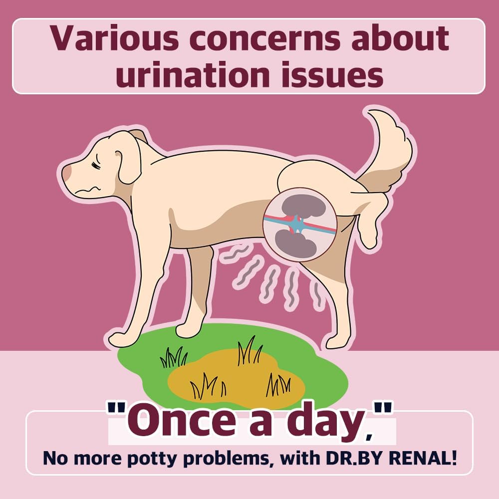 犬と子犬のためのRenal Kidney Bladder Urethra Nutritional Supplement - 甘いポテトは、犬UTIのための犬のサプリメント、個人的に30カウント(パッケージ1)