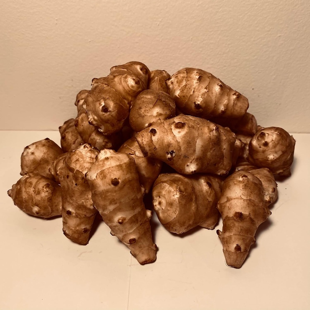 Sunchokes adama 食品 - 2 1/2 ポンド (2.5 ポンド) 植栽または食べる FEDEX 2 日