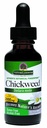 Nature's Answer アルコールフリーのチケワケステリアメディア 2000mg 1oz エキス | ハーブサプリメント | 消化を促進します | 非GMO、コーシャ、グルテンフリー、ビーガン | シングルカウント