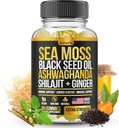 Sea Moss, Black Seed Oil, Ashwagandha, Ginger, Shilajit Gummies with Elderberry, Chlorophyll, Turmeric Bladderwrack Sea Moss Gummies Advanced Strength Formula - All in 1 Bundle - USA Made (60 Gummies)