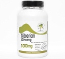 シベリアのGinseng 1000mg   100のカプセル - 添加物無し Naturetitionの補足