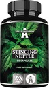 APOLLO'S HEGEMONY Stingingingingのイラクサ500のmg - 高力エキス DER 4:1、90のビーガン カプセル、3か月の供給、心臓血管の健康を支える草の補足