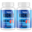 キドニーサポートサプリメント - 600mg Niacinamideとキドニークレンジングデトックス&キトサンオリゴ糖 - リン-Conscious式 - 大人のためのベジタリアンカプセル - 2ボトル