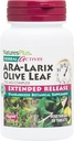 NaturesPlusハーブ活動 ARA Larix Olive Leaf - 30錠 - 免疫サポートサプリメント、拡張リリース植物コンプレックス - ベジタリアン、グルテンフリー - 30サービング