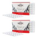 Altai Shilajit 120 錠 マウンテン バルサム ラベル - 元の Altai のシベリア 100% 純粋なフルヴィク酸とトレース ミネラル