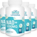 リポソームNAD+サプリメント1000mg   最大のNAD Pontecy | マックス吸収 | 純粋なNADサプリメント | エネルギーとDNAの修理、老化の防衛、脳機能 | 240 Softgels