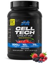 MuscleTechのクレアチンの一水化物の粉の細胞技術のクレアチンのポストのワークアウトの回復は人及び女性筋肉建物のための筋肉ビルダーをフルーツ パンチ、3つのlbs (27のサーブ)を補います