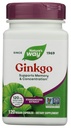 Nature's Way Premium Extract Ginkgo、メモリと集中*、120カプセル