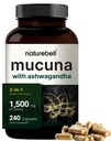 MucunaのPruriensのカプセル、サービングごとの三重の強さ1500mg、1の方式で、MucunaおよびAshwagandha、240のカプセル、有効な種のエキス、肯定的な気分、弛緩及び回復サポートとなされる