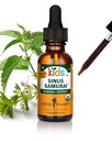 Herb Pharmの子供の証明されるアルコール・フリーのSinus Samuraiの液体の草の方式、有機性、1 Fl Oz