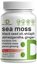 DEAL SUPPLEMENT アイリッシュ海苔 7000mg サービングあたり, 240 Veggie カプセル – 14 Superfood Complex – 3000mg ブラックシードオイル, 2000mg アシュワガンダ, 600mg ジンジャー