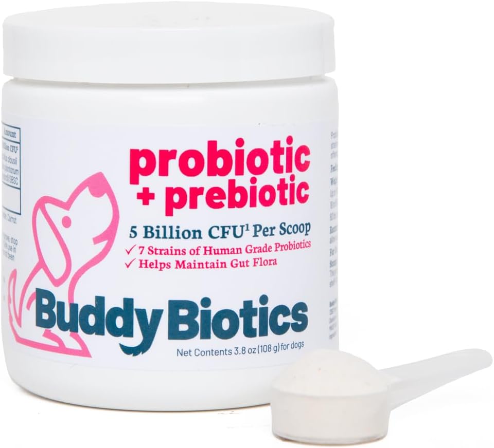 犬のためのBuddy Biotics Probiotic +プレバイオティクス - 腸の健康、消化器および免疫の健康、Diarrheaおよび腸サポート - スコープあたり5億CFU