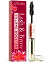 Gya Labs Lash と Brow Oil - 100% 純粋な Natual Organic Castor オイルまつげ & Eyebrow 血清 完全な外観のLashes & Brows (0.34 Fl Oz)