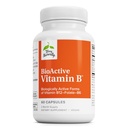 テリー自然に生体活性ビタミンB - 活性ビタミンBとエイドハート健康 - Folate&Calciumのサプリメント - Aid Nervousシステム機能にBコンプレックスビタミン - 60カプセル