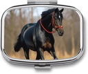 Pill Box Portable Pill Case for Pocket Horse on Lawn Travel Small Pill Organizer 2 Compartment Metal Pill Container Holder for Medicine Vitamins Fish Oil Supplements