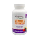 エルダーベリーの女王のChewableビタミンC 500mg -ビタミンA、E及び有機Echinacea、Elderのフルーツ、Acerola -自然な食事療法の補足、60の計算が付いている免疫のブースト及び酸化防止サポート タブレット