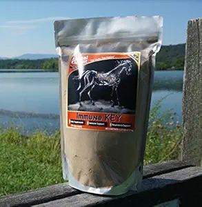 Immune Key - 1.25 lb. - All Natural, GMO-Free, Builds Strong Immune System