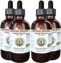 Hawaii Pharm White Willow Alcohol-Free Liquid Extract, Organic White Willow (Salix Alba) Dried Bark Glycerite Natural Herbal Supplement, USA 4x4 fl.oz