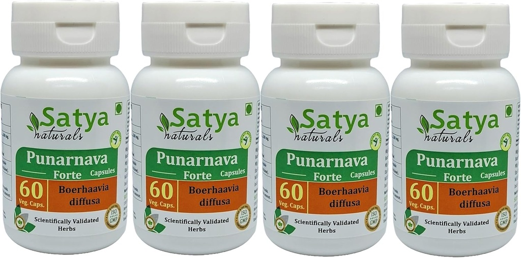 Punarnava フォルテ カプセル 500 mg. 60 Veg. カプセル | Punarnava (ボエルハビア diffusa) エキス カプセル 男女別 | Ayurvedic Herbal Supplement/Remedies | 10:1 Forte (60カプセルのボトル)