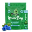 ウォーターボーイ ワークアウトのHydration | 2,960mg 砂糖 無料の電解質の粉のパケット | L-グルタミン + ビタミン | 砂糖、すべての自然、グルテンフリー | 15 ドリンク スティック ミックス (ブルー ラズベリー)