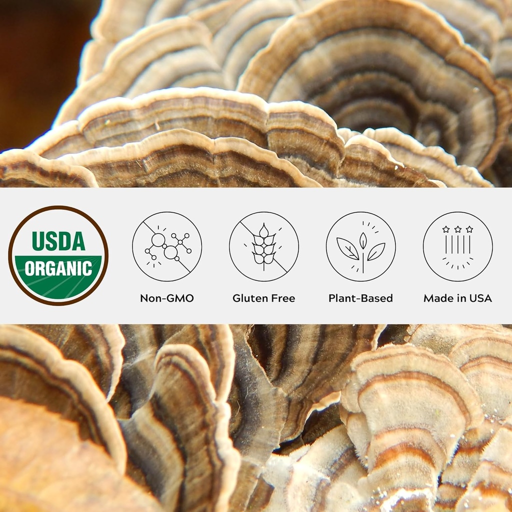有機トルコテールマッシュルームパウダー、シングルエステート、非GMO - ガット、エネルギー、脳、および免疫サポート - 再封可能なガラスジャーでビーガンマッシュルームサプリメント