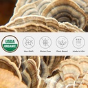 有機トルコテールマッシュルームパウダー、シングルエステート、非GMO - ガット、エネルギー、脳、および免疫サポート - 再封可能なガラスジャーでビーガンマッシュルームサプリメント