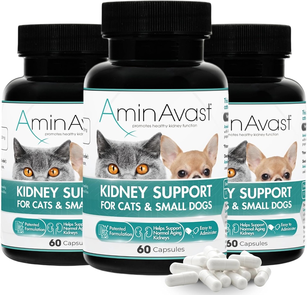 猫と小犬のためのAminAvast Kidneyサポートサプリメント, 300mg 3-Pack - 天然腎臓機能を促進する - エイジング腎臓の健康と死亡 - 簡単に管理 - 60スプリンクルカプセル