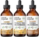 Wild & Organic Lion's Mane, Turkey Tail & Chaga Mushroom Tinctures